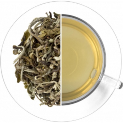 Oxalis White Monkey Bílá opice 30 g