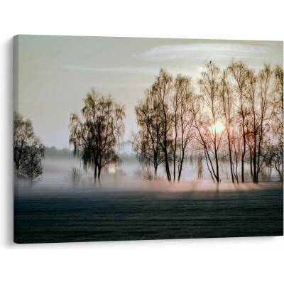 Obraz - Ranná sychravosť, jednodielne 70x50 cm