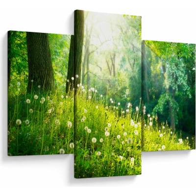 Obraz - Magická lúka plná púpav, trojdielne 90x60 cm