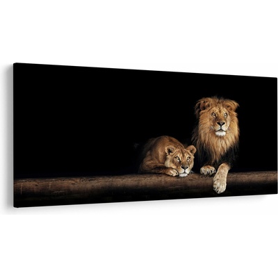 Obraz - Lev a levice, jednodielne 250x125 cm