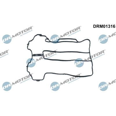 DR.MOTOR AUTOMOTIVE Tesnenie veka hlavy valcov DRM01316
