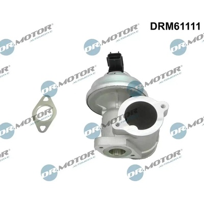 Dr.Motor Automotive AGR ventil DMA DRM61111