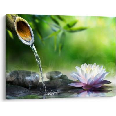 Obraz - Lotus, jednodielne 70x50 cm