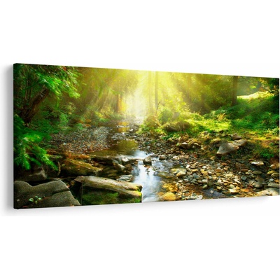 Obraz rieky v zelenom lese, jednodielne 200x100 cm