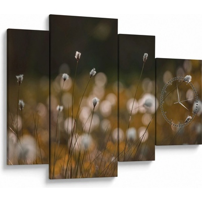 Obraz - Louka s cottongrass N⁰2 (s hodinami), Čtyřdílný 110x75 cm s hodinami