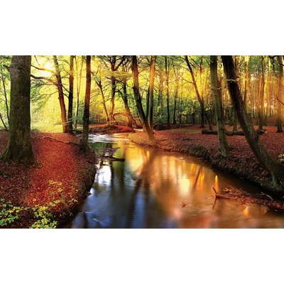 Preinterier FT3677 Fototapeta na stenu Jesenný les vlies 104cm x 70cm