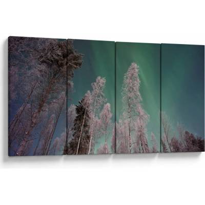 Obraz polárna žiara nad zamrznutými stromami, štvordielne 160x80 cm