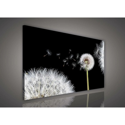 Postershop Obraz na plátně: Pampeliška (1) - 80x60 cm