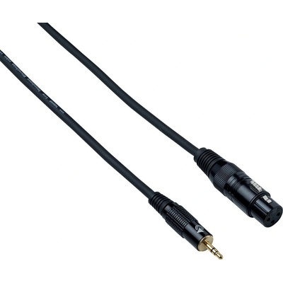 Bespeco EAMFX500