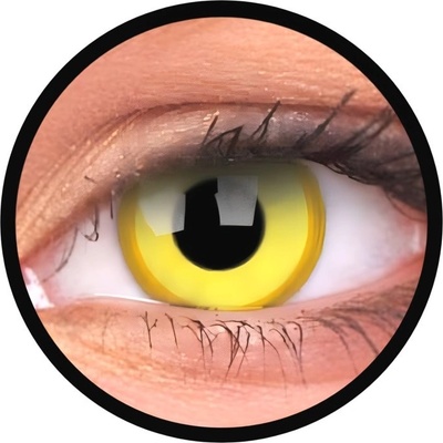 MaxVue ColorVue Crazy Avatar tříměsíční dioptrické 2 čočky – Hledejceny.cz