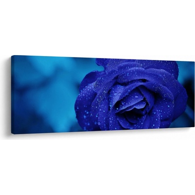 Obraz modré růže, jednodílný 100x40 cm