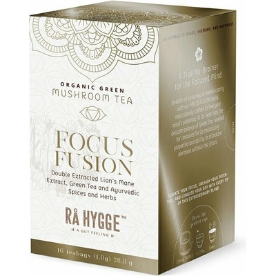 Ra Hygge BIO Focus Fusion zelený čaj s Lion´s mane 16 ks