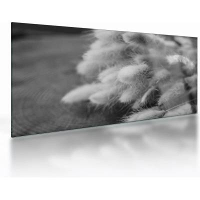 Sklenený obraz - bunny tail grass na stole, jednodielne 100x50 cm na skle