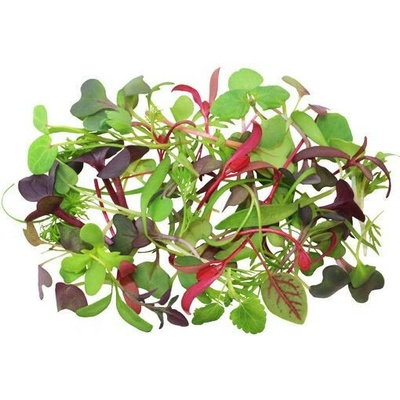 Toraf Microgreens, semienka na klíčky - Zmes jemná 20g