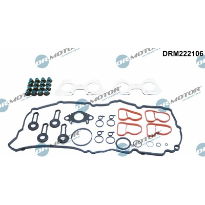 DR.MOTOR AUTOMOTIVE Sada tesnení, Hlava valcov DRM222106