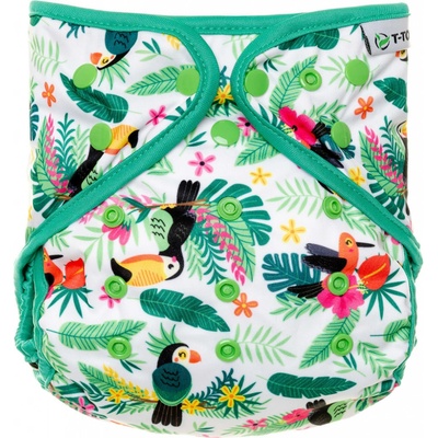 T-TOMI parrots
