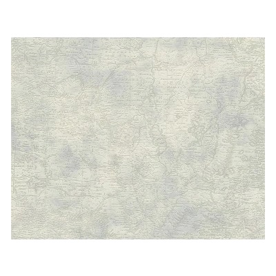 A.S. Création 958961 - Vinylová tapeta Dekora Natur 6 rozmery 0,53 x 10,05 m