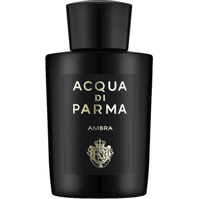 Acqua di Parma Ambra parfémovaná voda pánská 20 ml