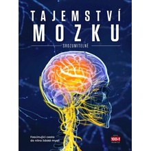 Tajemství mozku srozumitelně