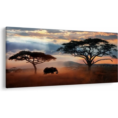 Obraz - Národný park Serengeti, Tanzánia, Afrika, jednodielne 200x100 cm
