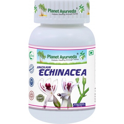 Planet Ayurveda Indická Echinacea extrakt 10:1 500 mg 60 kapslí