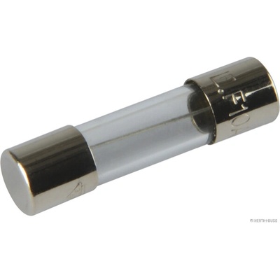 Poistka HERTH+BUSS ELPARTS 50295056