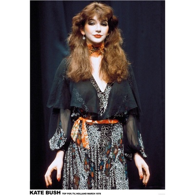 Plagát, Obraz - Kate Bush - Top Pop 1978, 59.4 × 84.1 cm