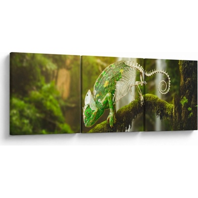 Obraz chameleona, třídílný 120x40 cm