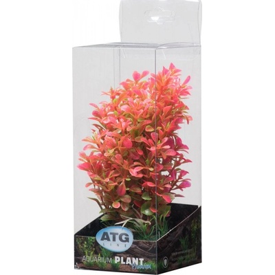ATG Premium rostlina malá 18 až 25 cm 301