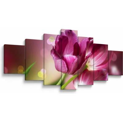 Obraz ružových tulipánov, sedemdielne 210x100 cm