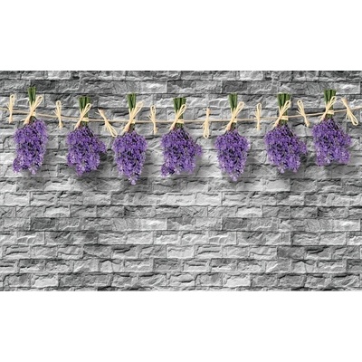 Preinterier FT3026 Fototapeta na stenu Levanduľa vlies 104cm x 70cm