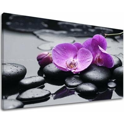 Papilora Obraz fialovej orchidey na plátne – Feng Shui - 30x40 cm