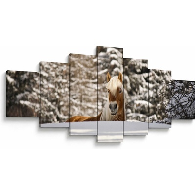 Obraz - Kôň v zimnej krajine, sedemdielne 210x100 cm
