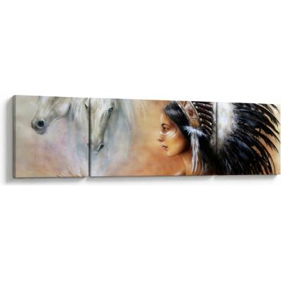 Obraz - Kouzla indiánů, třídílný 170x50 cm