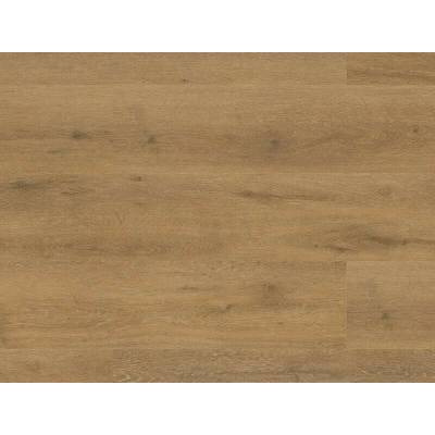Floor Forever Authentic Oak Click Rigid Dub Pážecí 1 m²