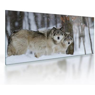 Sklenený obraz - Vlci v zime, jednodielne 100x50 cm na skle