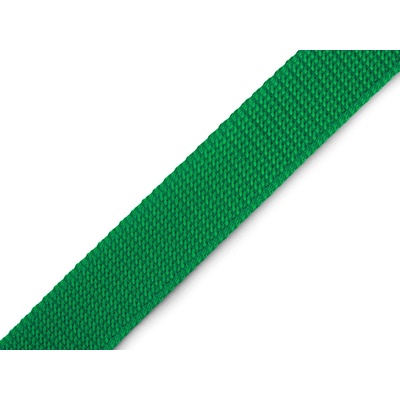 Prima-obchod Popruh polypropylenový šíře 25 mm tloušťka 2 mm, barva 10 zelená pastelová