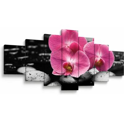 Obraz - Ružové orchidey, sedemdielne 210x100 cm