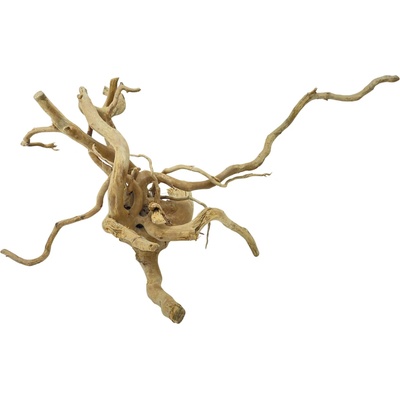 Invital Red moor wood KG 1050 g Z05041