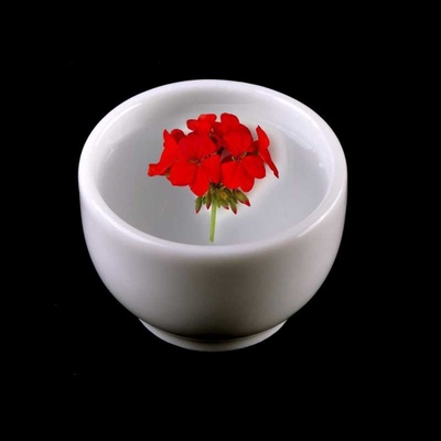 Ancient Pelargonie Egypt Esenciální Olej 10 ml