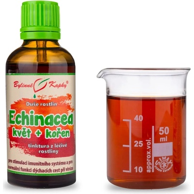 Bylinné kapky Duše rostlin Echinacea purpurea třapatka nachová kvetoucí nať tinktura 50 ml – Hledejceny.cz