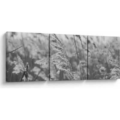 Obraz - Tráva vo vetre, trojdielne 120x40 cm