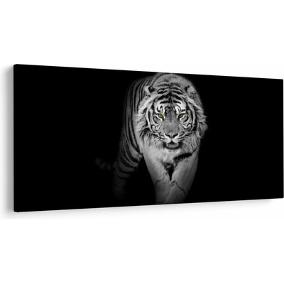 Obraz - Tiger so žltými očami, jednodielne 250x125 cm