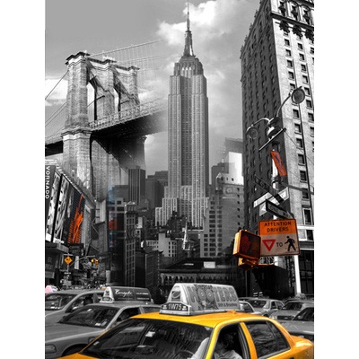 Obraz na plátne 40x50cm NEW YORK DOMINANTY čierno-biely