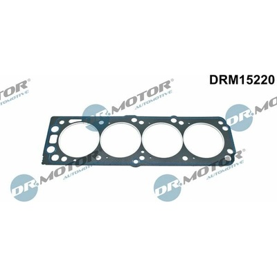 DR.MOTOR AUTOMOTIVE Tesnenie hlavy valcov DRM15220