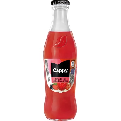 Cappy Jahoda vratné sklo 24 x 250 ml