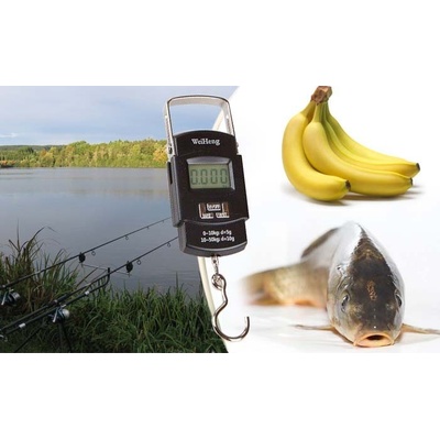Delphin digitální váha SPORTA do 50 kg – Hledejceny.cz