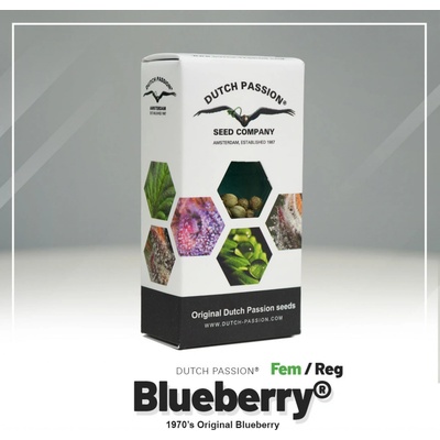 Dutch Passion Blueberry semienka neobsahujú THC 10 ks
