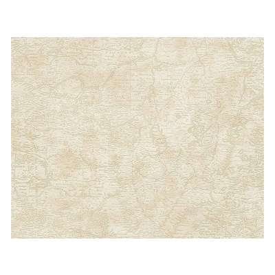 A.S. Création 958962 - Vinylová tapeta Dekora Natur 6 rozmery 0,53 x 10,05 m