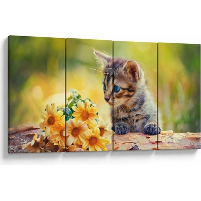 Obraz koťátka dívající se na květinu, Čtyřdílný 160x80 cm